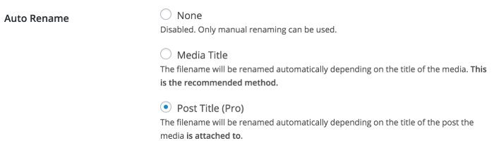 Media File Renamer Pro screenshot 4