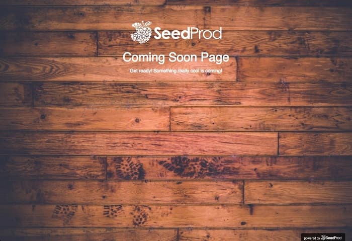 SeedProd Coming Soon Page Pro image 2
