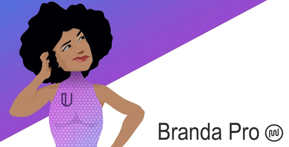 Branda Pro v3.3.2 – WordPress white label branding