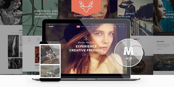 Moose v3.4 – Creative Multi-Purpose Theme