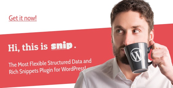 SNIP v2.17.3 – Structured Data Plugin for WordPress