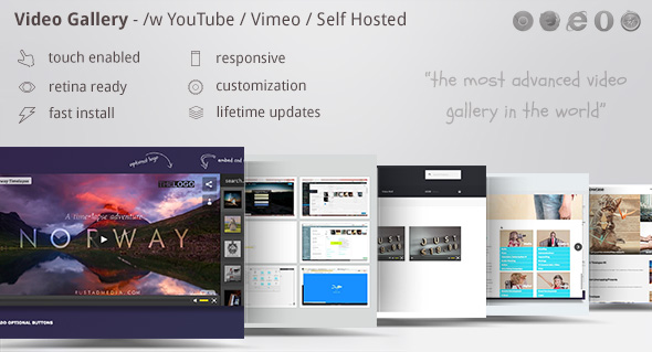 Video Gallery WordPress Plugin /w YouTube, Vimeo v11.721