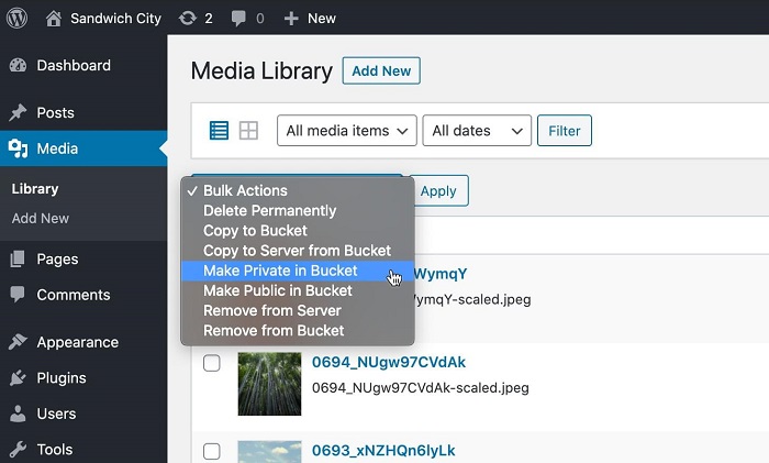 CONTROL CLOUD STORAGE FROM THE MEDIA LIBRARY