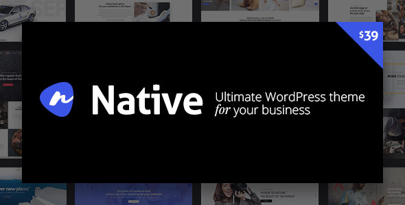 Native – Stylish MultiPurpose Creative WordPress Theme
