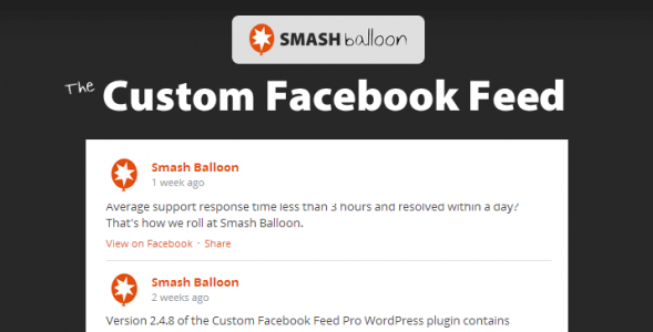 Custom Facebook Feed Pro Smash v4.0.5 + Addons
