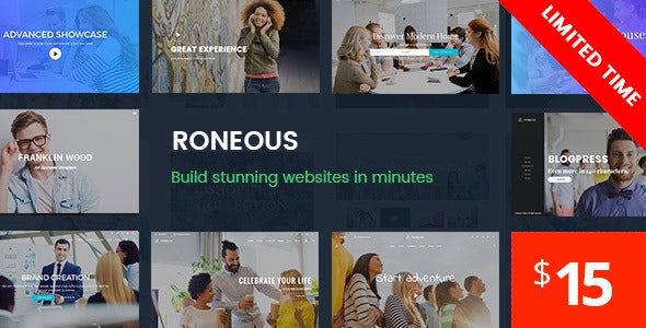 Roneous Creative Multi Purpose WordPress Theme v1.8.9