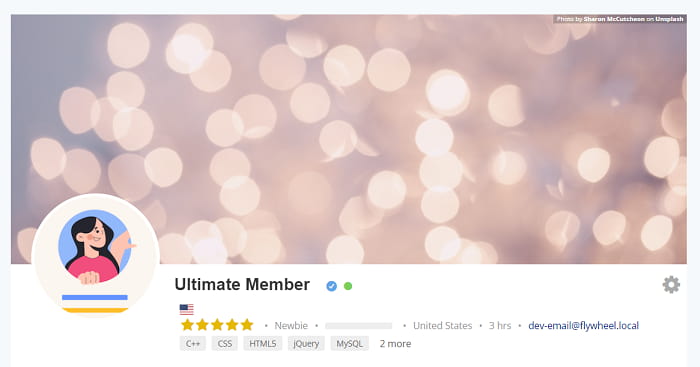 ultimate member user tags addon screenshot 1